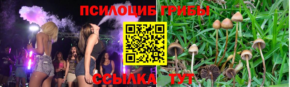 Галлюциногенные грибы Psilocybine cubensis  магазин продажи   Рязань  Вход с VPN 
