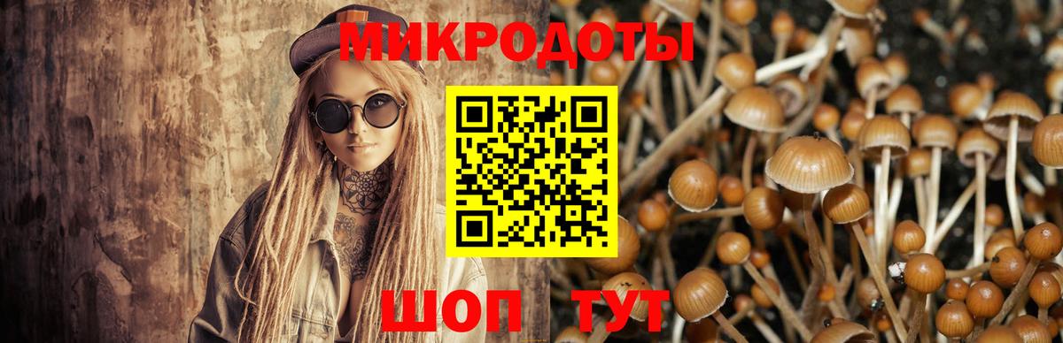 Псилоцибиновые грибы мицелий Рязань